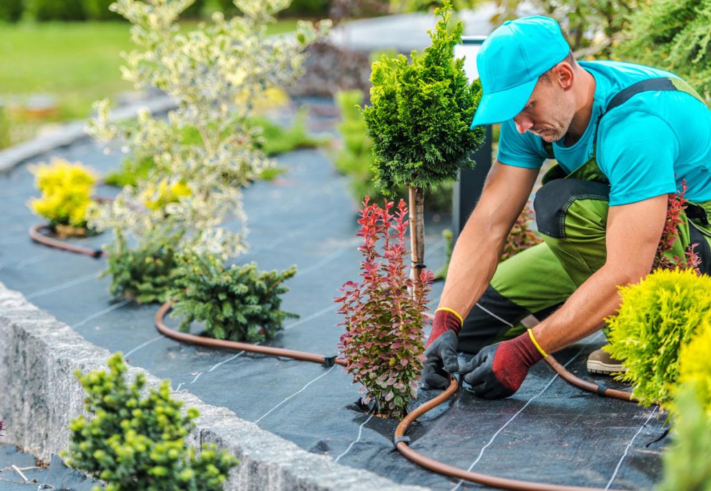 maintain-irrigation-systems