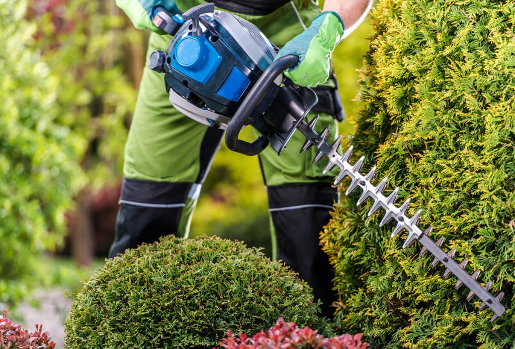 trimming-shrubs